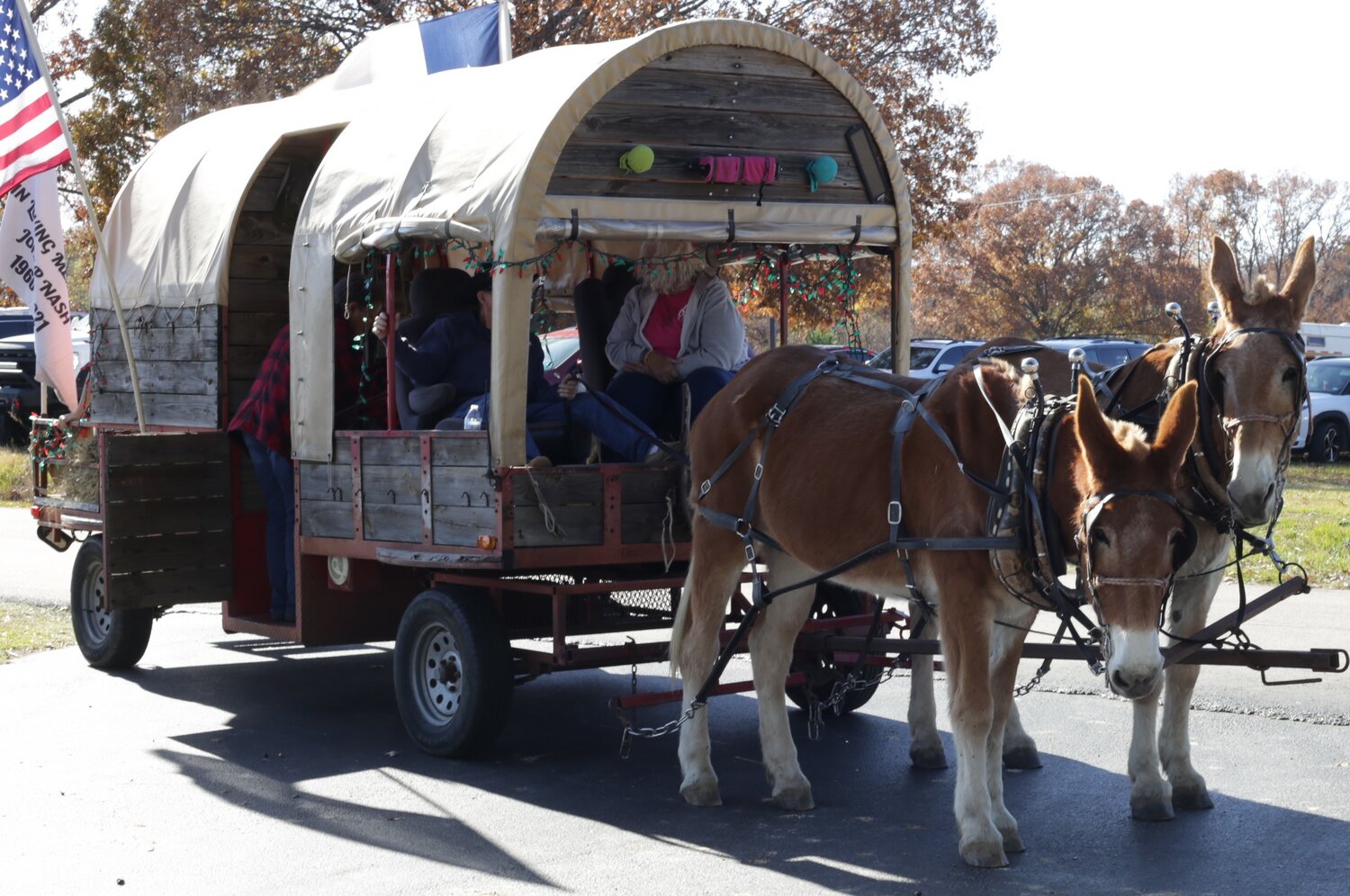 The pulling team of Molly and Dolly under the care of Hubert and Kim White of Edgewood provided wagon rides at the winter extraganza at Alba-Golden